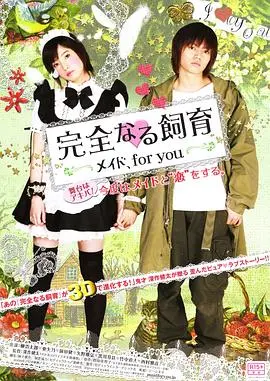 《完全饲育：专属女仆》：欲望的牢笼？探讨人性的扭曲与挣扎，R级片背后的思考
